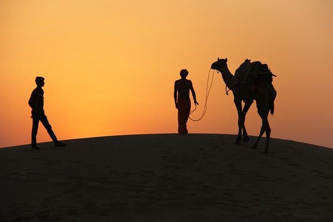 Non Touristic Half Day Camel Safari Thar Desert Sunset - Abandoned Village Exploration