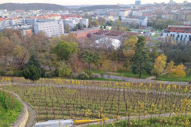 Non-touristy Prague - Cozy Neighborhoods - Private Tour - Reviews and Testimonials