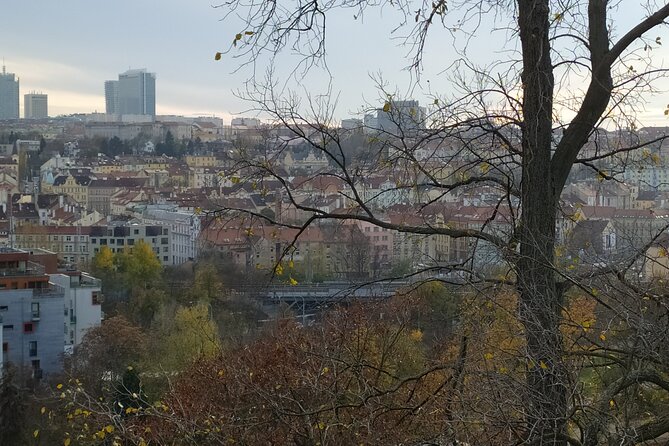 Non-touristy Prague - Cozy Neighborhoods - Private Tour - Visitor Recommendations