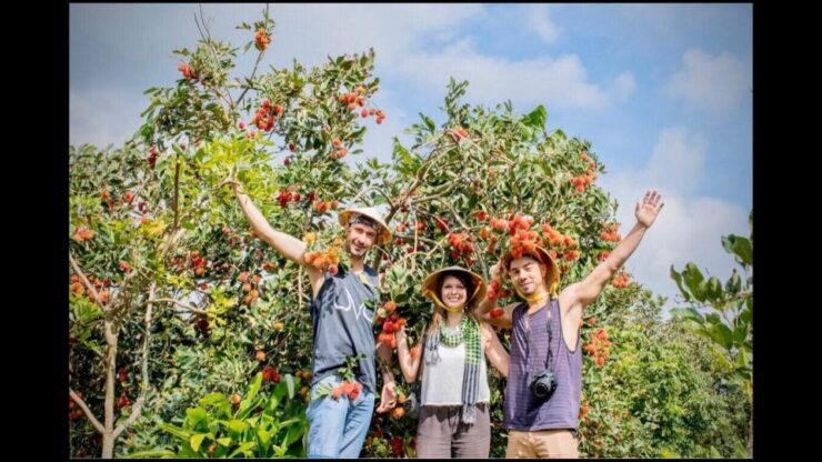 Non-Touristy Special Mekong 1 Day With Biking Monopoly - Activity Details