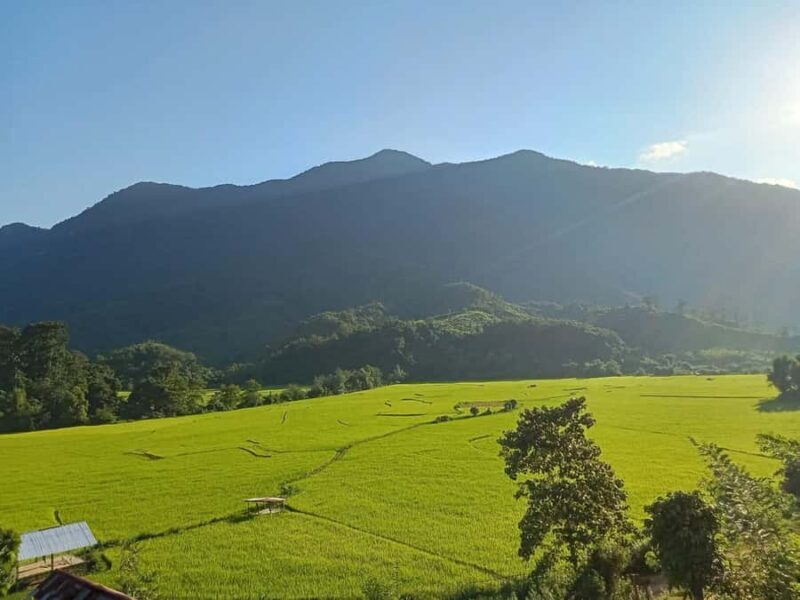 Nong khiaw: 1 Day easy trek visits 3 minority Lao+Hmong&Khmu - Who Is This Tour Best For?