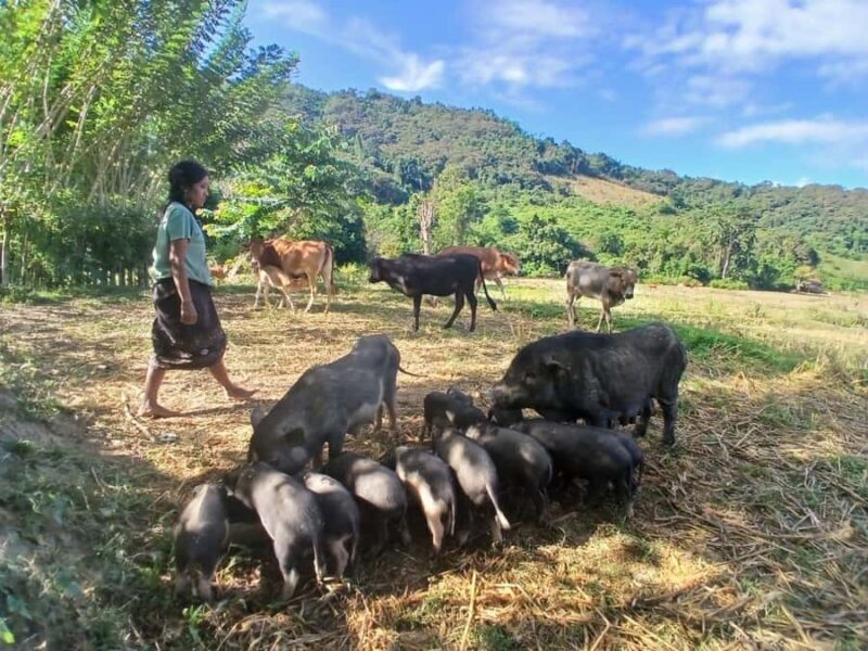 Nong Khiaw: 2-Day Trekking, Camping and Kayaking Tour - Final Words