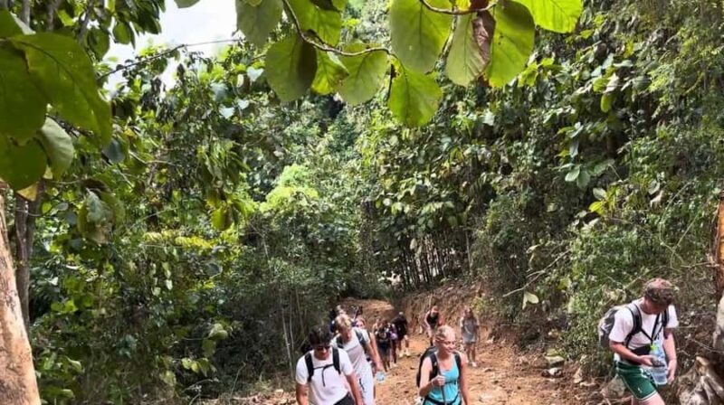 Nong khiaw: Trekking To Camping Above The Clouds - Final Thoughts