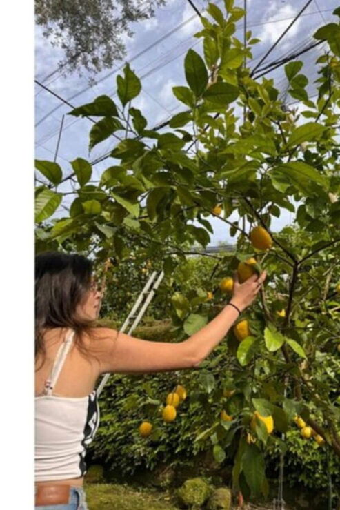 Nonna Concettina Lemon Tour - Experience Highlights