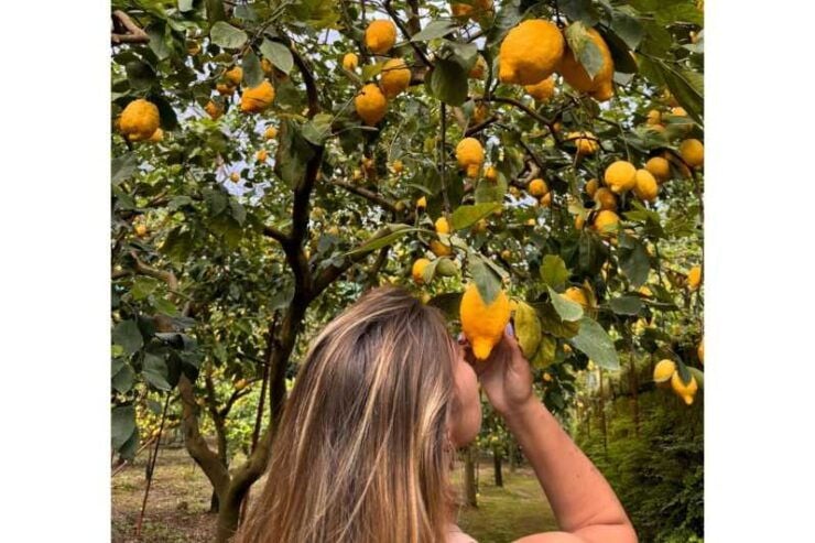 Nonno Mario Lemon Tour - Good To Know