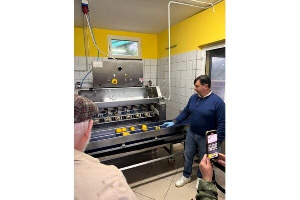 Nonno Mario Lemon Tour - Tips for Participants