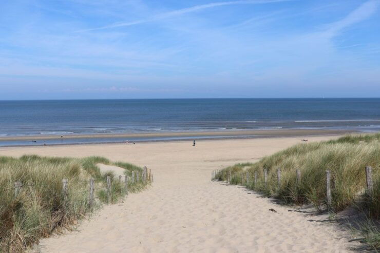 Noordwijk: Beach and Dunes Bike Tour - Booking and Cancellation Details