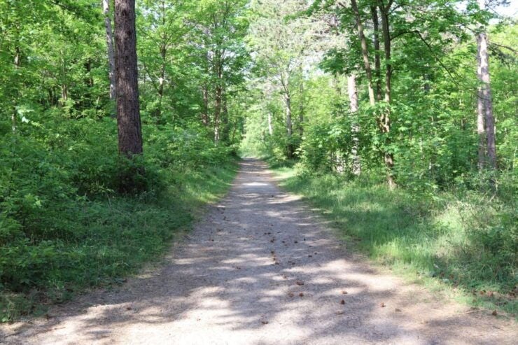 Noordwijk: Beach and Dunes Bike Tour - Tour Experience and Highlights