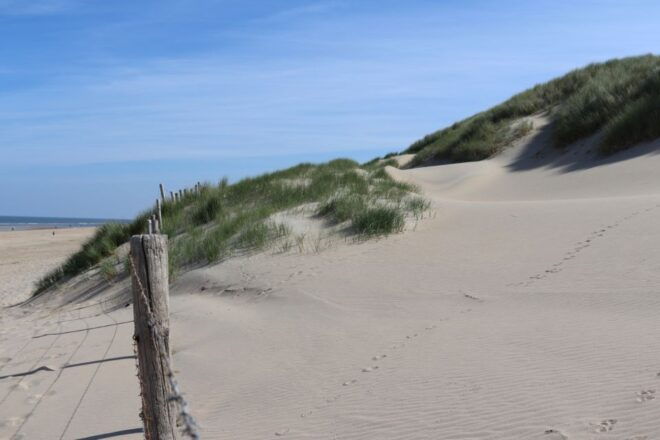 Noordwijk: Beach and Dunes Bike Tour - Beach and Nature Exploration