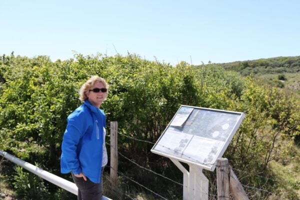 Noordwijk: Beach and Dunes Bike Tour - Common Questions