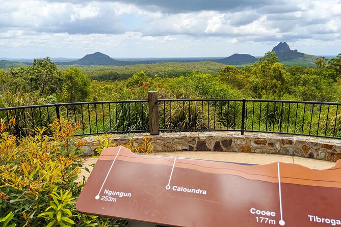 Noosa, Aussie Animals & Glass House Mountains From Brisbane - Overview of Noosa, Aussie Animals & Glass House Mountains