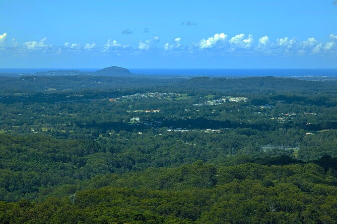 Noosa, Aussie Animals & Glass House Mountains From Brisbane - How to Get From Brisbane to Noosa