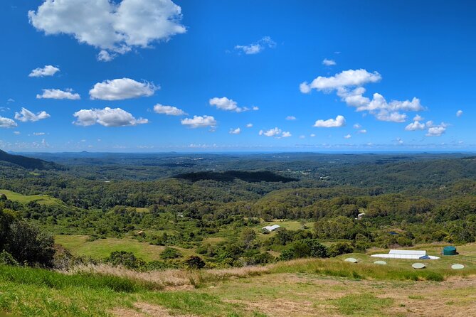 Noosa, Aussie Animals & Glass House Mountains From Brisbane - Exploring Noosa National Park