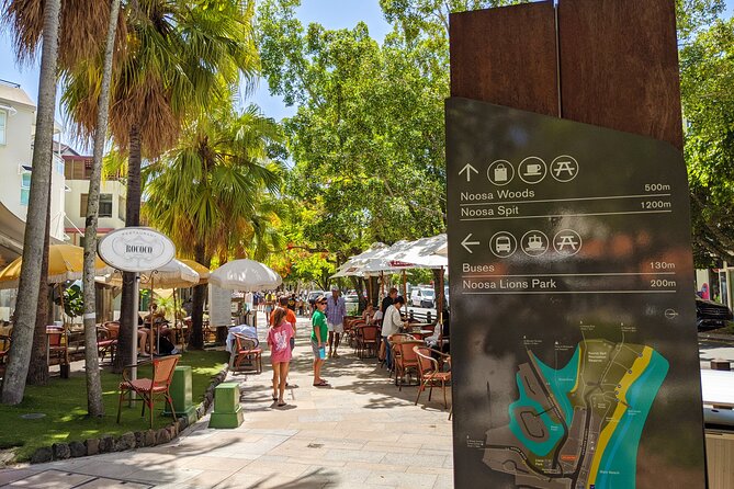 Noosa, Aussie Animals & Glass House Mountains From Brisbane - Wildlife Encounters in Noosa