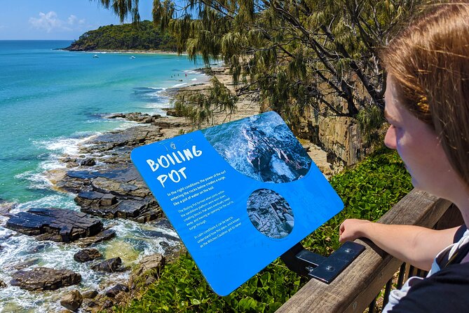 Noosa, Aussie Animals & Glass House Mountains From Brisbane - The Sum Up
