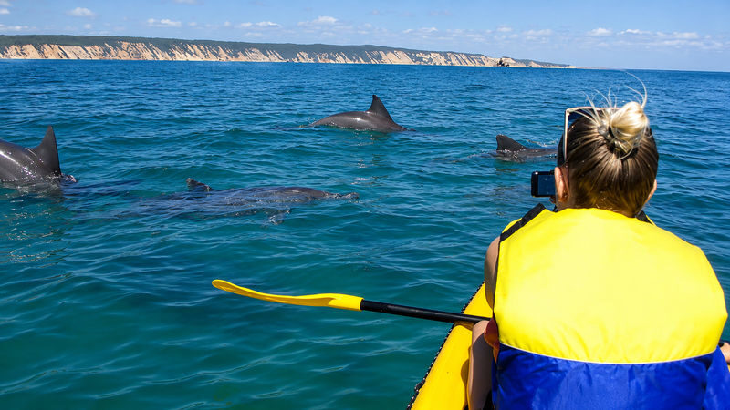 Noosa: Epic Dolphin Ocean Kayak Tour & Beach 4X4 Adventure - What to know before you book