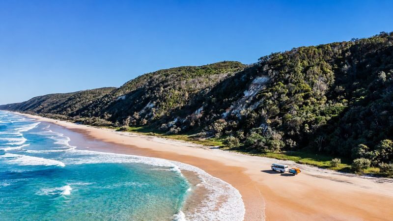 Noosa: Epic Dolphin Ocean Kayak Tour & Beach 4X4 Adventure - Wildlife: a bonus, not a booking guarantee