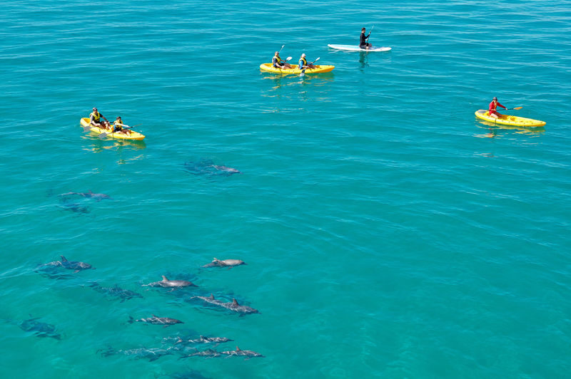 Noosa: Epic Dolphin Ocean Kayak Tour & Beach 4X4 Adventure - What the six-hour day feels like