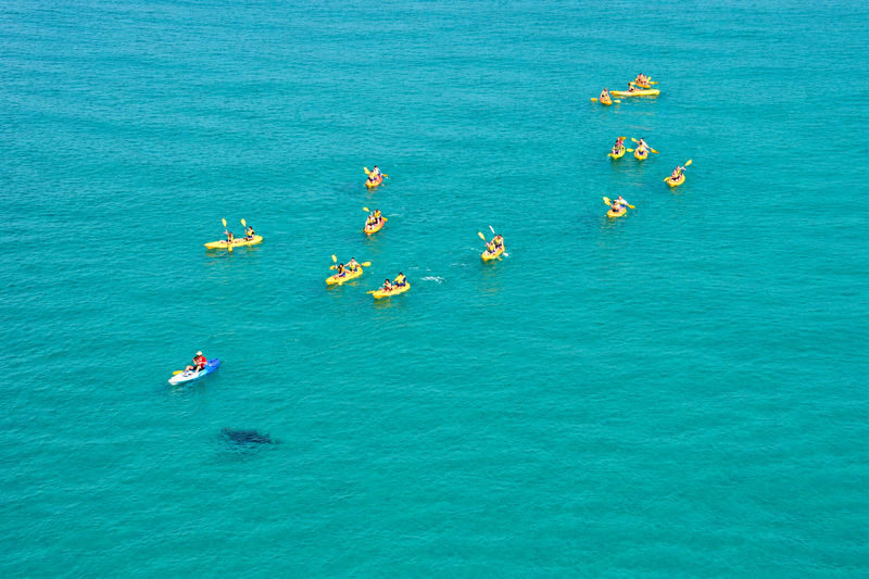 Noosa: Epic Dolphin Ocean Kayak Tour & Beach 4X4 Adventure - Who will get the most from it