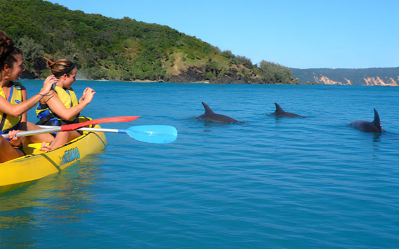 Noosa: Epic Dolphin Ocean Kayak Tour & Beach 4X4 Adventure - Meeting up and packing smart