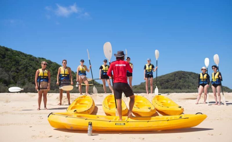Noosa: Epic Ocean Kayak with Dolphins & 4WD Beach Adventure - Exploring the Noosa: Epic Ocean Kayak with Dolphins & 4WD Beach Adventure