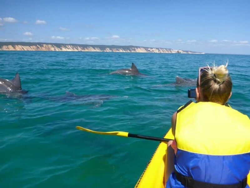 Noosa: Epic Ocean Kayak with Dolphins & 4WD Beach Adventure - Good To Know