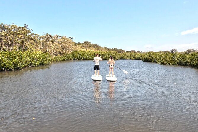 Noosa: Epic Stand Up Paddle Stingray & Mangrove Tunnel Tour - What Makes This Tour Stand Out