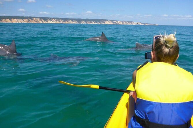 Noosa: Epic Whale Watching On Ocean Kayaks & Beach 4X4 Tour - The Sum Up