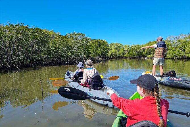 Noosa Everglade Kayak -South/Noosa End - Searching for Stingrays! - Tour Overview