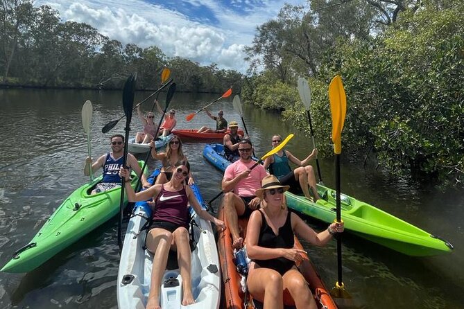 Noosa Everglade Kayak -South/Noosa End - Searching for Stingrays! - Wildlife Spotting
