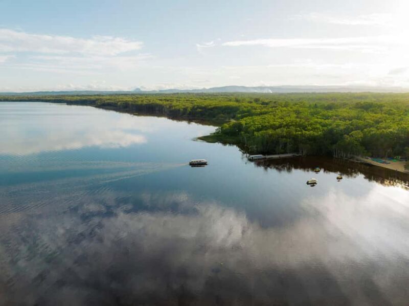 Noosa: Everglades Explorer Cruise - Who Will Love This Tour?