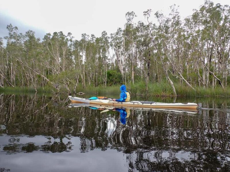 Noosa Everglades: Truly Sustainable Self Guided KAYAK Tour - Discovering the Noosa Everglades: What Makes It Special?