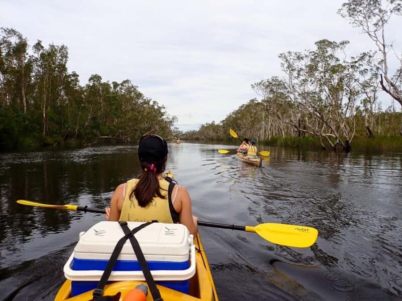 Noosa Everglades: Truly Sustainable Self Guided KAYAK Tour - Wildlife and Nature Experiences