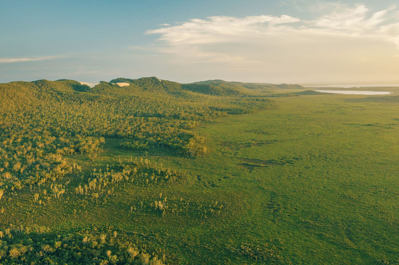 Noosa Half-Day Everglades Serenity Cruise - Key points before you book