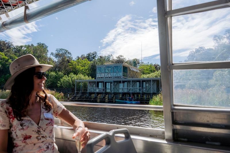 Noosa Half-Day Everglades Serenity Cruise - Wildlife: a promising habitat, with no guarantees