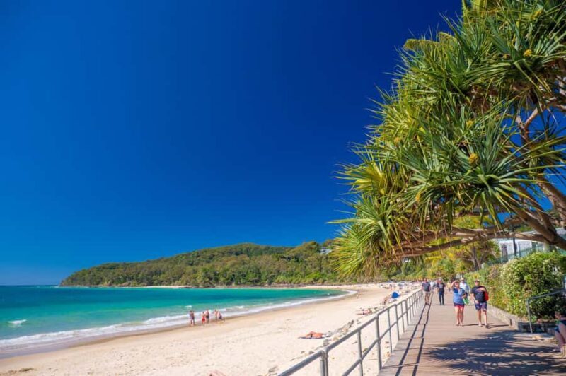 Noosa Heads and Eumundi Markets Private Tour from Brisbane - Practical Tips and Considerations