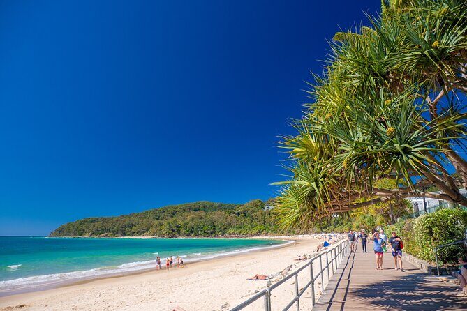 Noosa Heads and Eumundi Markets Private Tour from Brisbane - Good To Know