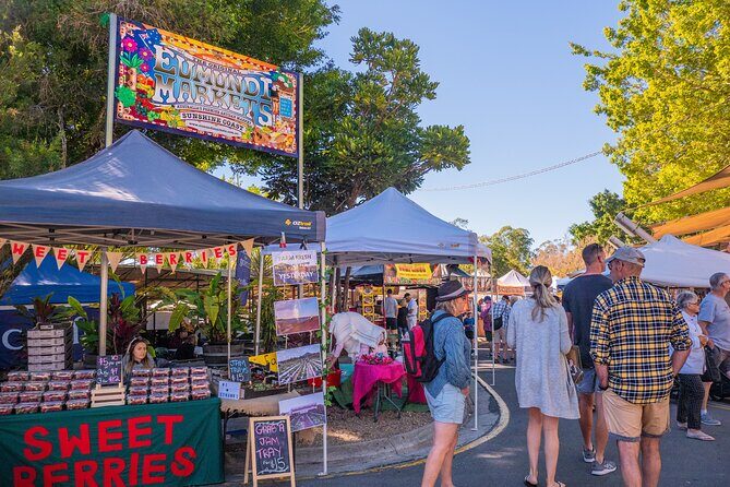 Noosa Heads and Eumundi Markets Private Tour from Brisbane - The Experience: A Deep Dive into the Tour Itself