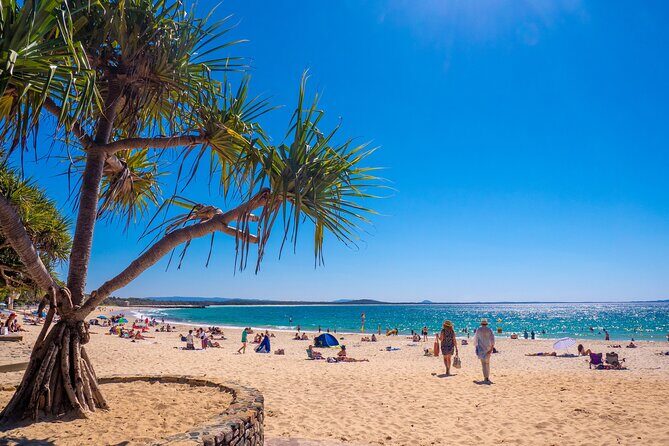 Noosa Heads and Eumundi Markets Private Tour from Brisbane - Final Thoughts: Who Is This Tour Best For?