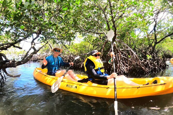 Noosa Heads: Epic Hidden Waterways & Wildlife Kayak Tour - Good To Know