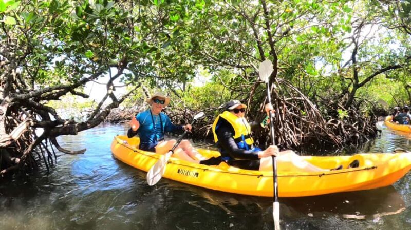 Noosa Heads: Hidden Waterways Wildlife Kayak (Fully Guided) - The Value of This Tour