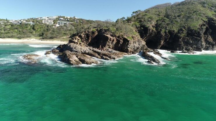 Noosa Heads: Ocean Adventure & Dolphin Safari - Experience Highlights