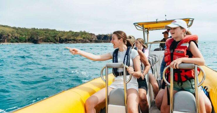 Noosa Heads: Ocean Rider Dolphin Safari - Activity Details