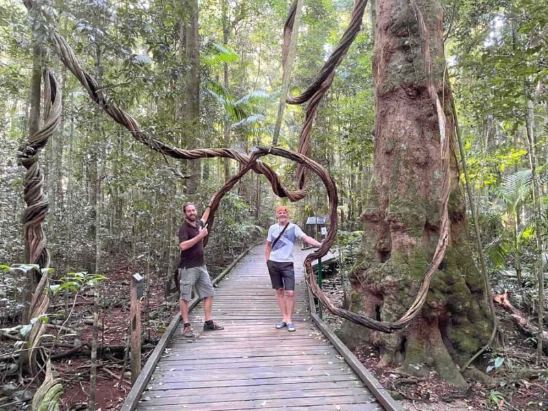 Noosa: Maleny & Montville Tour with Lunch & Wine Tasting - The Bottom Line: Is It Worth It?