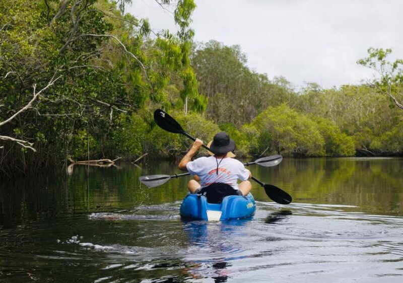 Noosa: Noosa Everglades and Stingray Sanctuary Kayak Tour - A Deeper Look at the Tour Experience