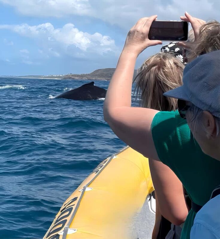 Noosa: Noosa Whale Watching Tour - FAQ