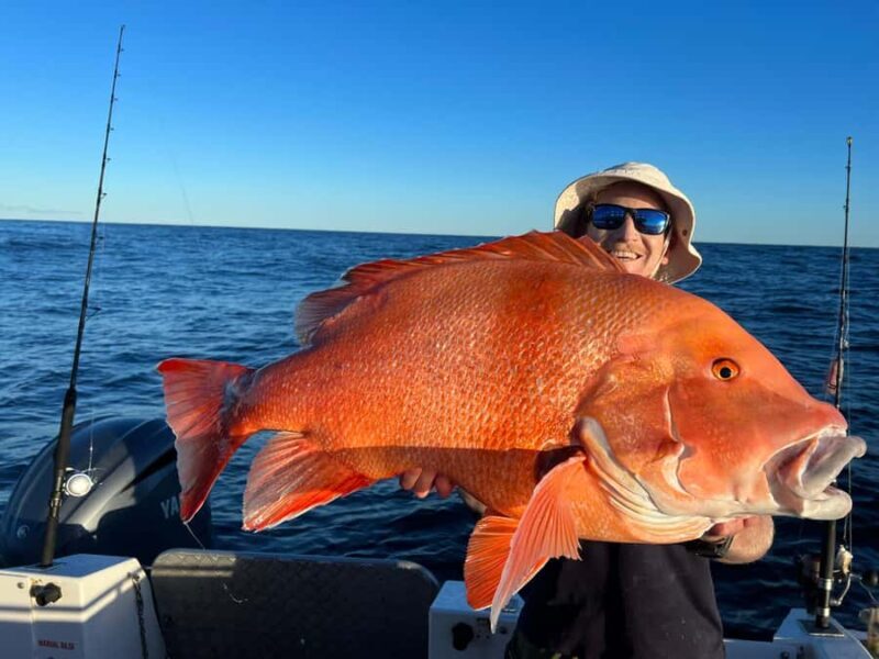 Noosa: Offshore Fishing Charter - Setting Out from Noosa: What to Expect