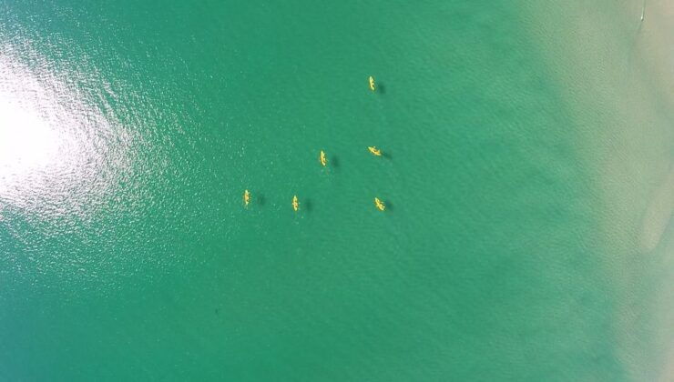 Noosa: Private Double Island Point Beach Adventure - Activity Details