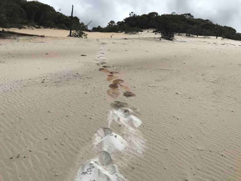 Noosa: Rainbow Beach Tour via Noosa Hinterland and Cooloola - Exploring the Noosa: Rainbow Beach Tour via Noosa Hinterland and Cooloola