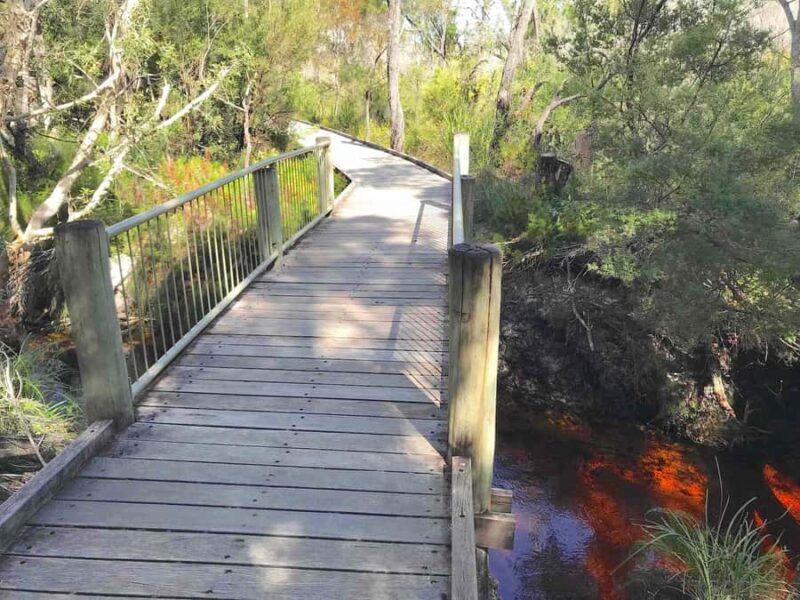 Noosa: Rainbow Beach Tour via Noosa Hinterland and Cooloola - Good To Know